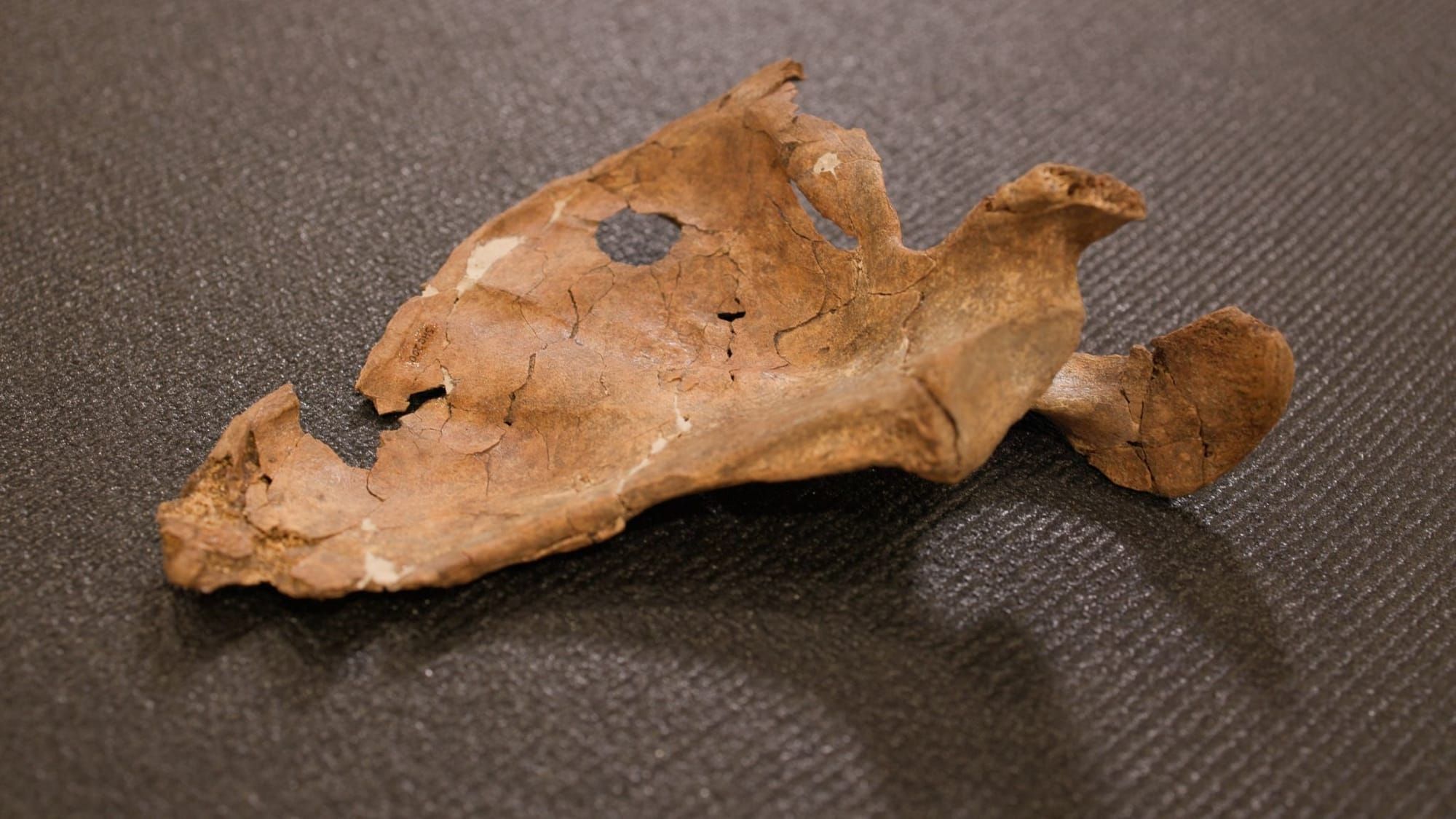 This Might Be the Earliest Known Spear Murder In Earth’s History