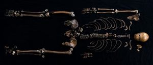 Who’s this Medieval Dead Guy at the Bottom of a Castle Well?