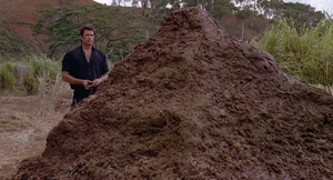 The Rise of the Dinosaurs, Written in Poop