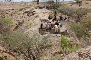 Advanced 2.5 Million-Year-Old Tools May Rewrite Human History