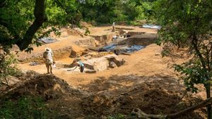 Scientists Discover the Earliest Human-Made Fire, Rewriting Evolutionary History