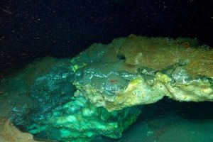 In the Dark Arctic Deep, Scientists Find a Hidden Oasis of Strange Life