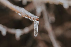 Fascist Kink Roleplay Subreddit Draws the Line: No More ICE Porn