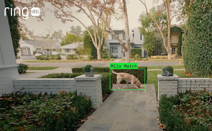 With Ring, American Consumers Built a Surveillance Dragnet