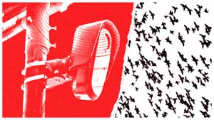 How Cities Are Forced to Funnel License Plate Data to a Massive Federal Surveillance Program