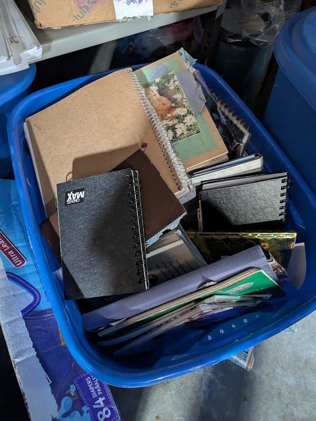 I'm Thinking in Novels Again