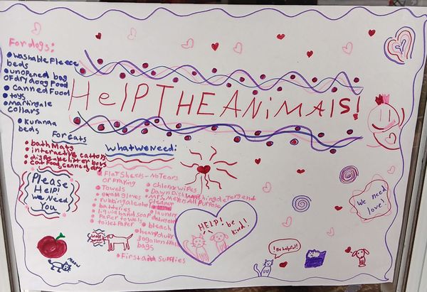Donations to the Humane Society