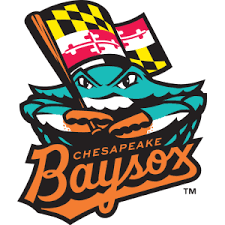 Chesapeak Baysox: FREE TICKETS, Game day details, "Read and Hit a Home Run" readathon...