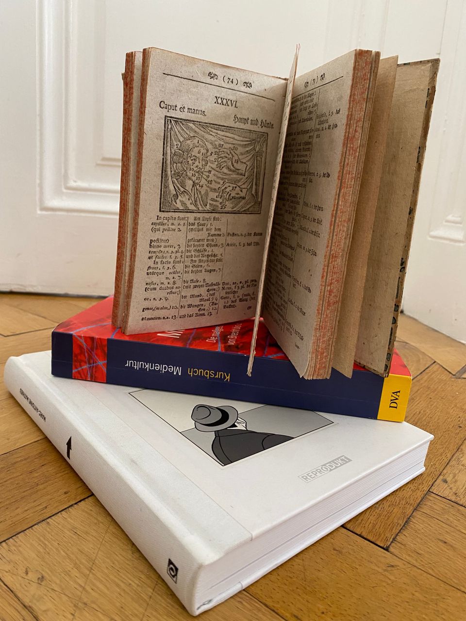 Topographien des Lesens