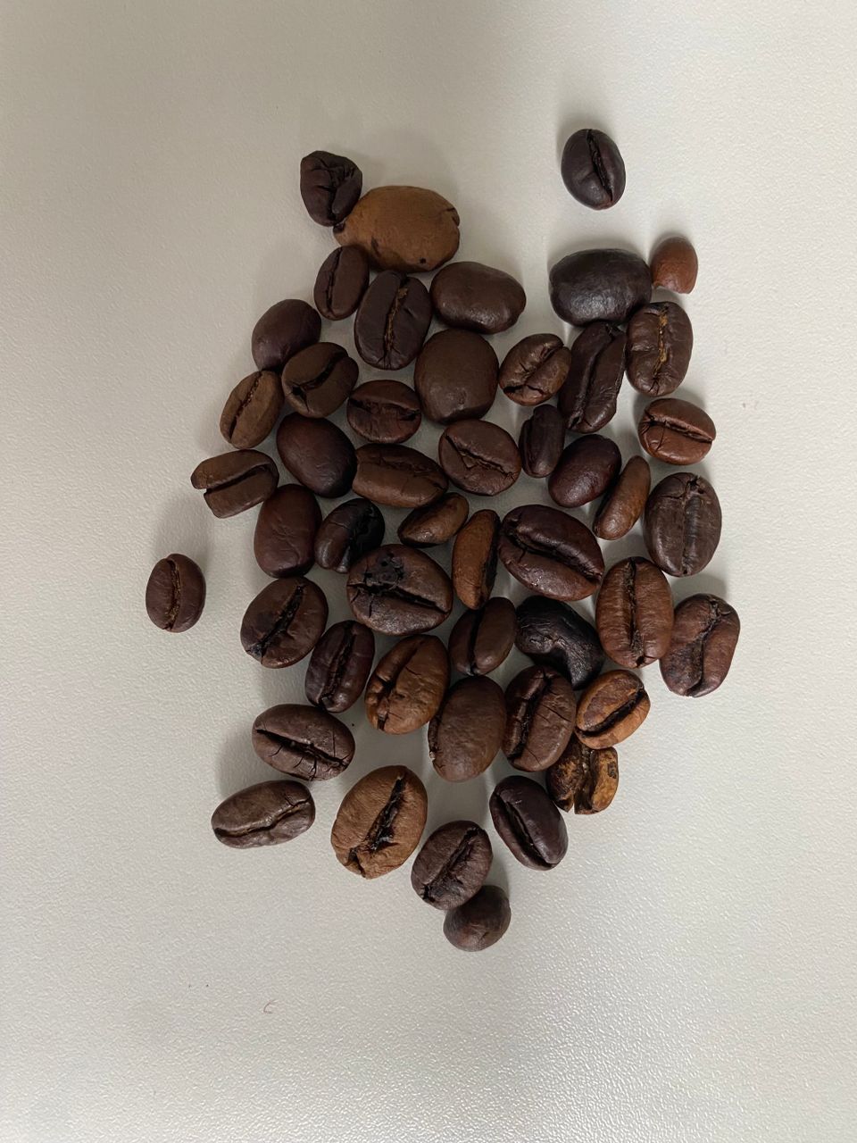 _201_ Was für ein Gestank!?