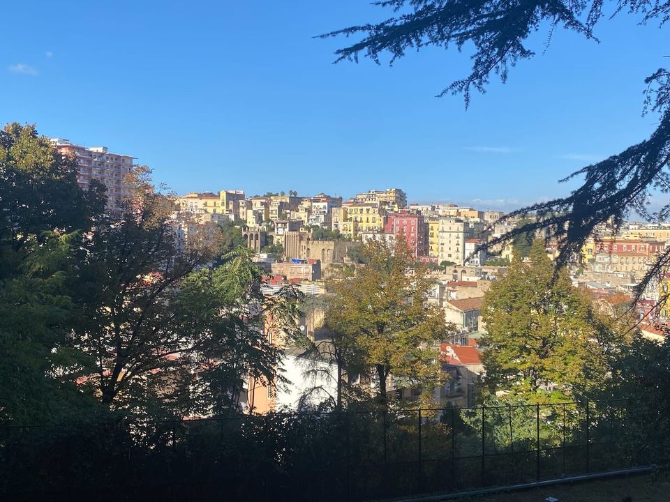 _334_ Café Ventimetriquadri