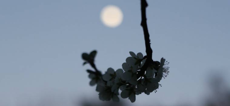June Butler plays among the stars with Tadhg O’Sullivan’s epic elegy To The Moon.