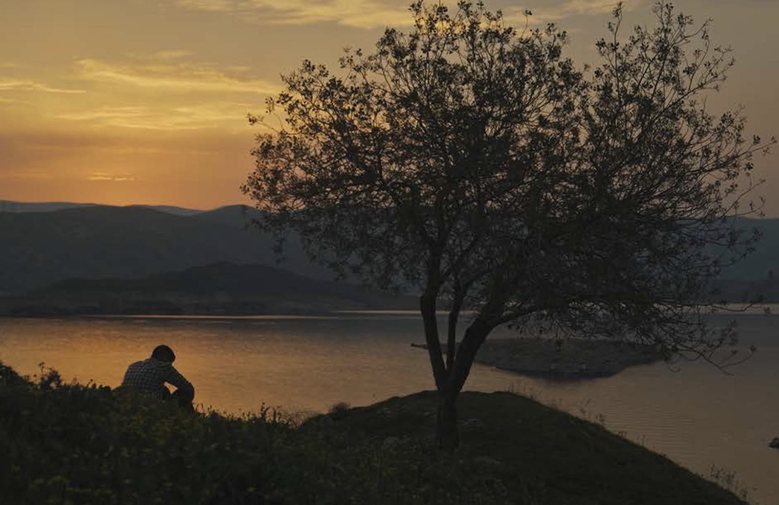 HOME: THE STORY OF ZAK MORADI
