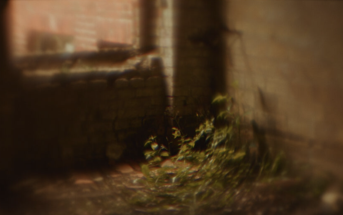 Dreaming is Not Sleeping