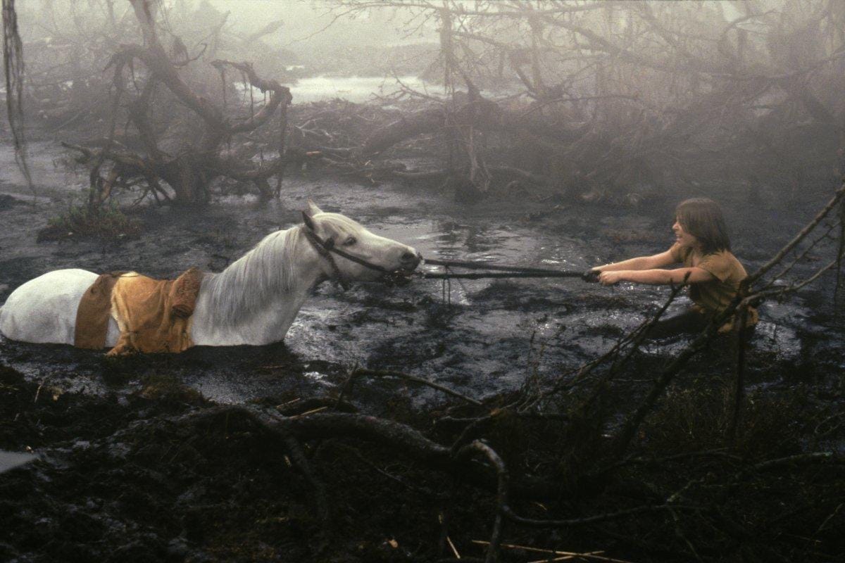 While filming the NeverEnding Story (1984), actor Noah Hathaway (Atreyu) got his leg caught while filming the Swamp of Sorrows scene and was pulled under and was unconscious by the time he