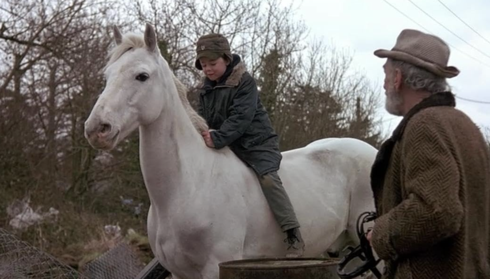 Review: A Look Back at Into the West