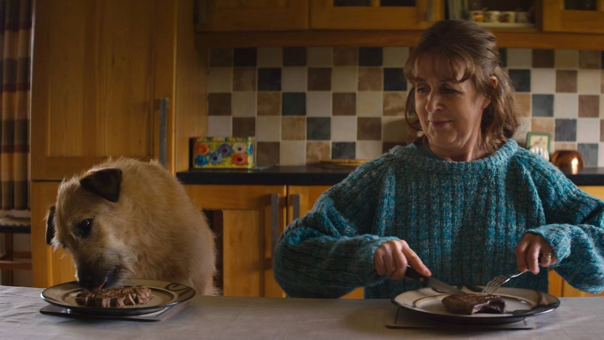 Róise & Frank screened on 6th July 2022 as part of the Galway Film Fleadh.