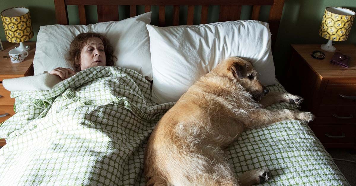 Róise and Frank: Review of Irish Film at VMDIFF