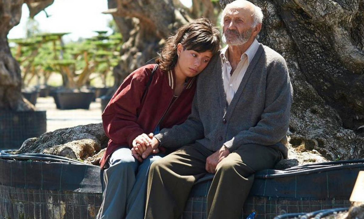 Review: The Olive Tree