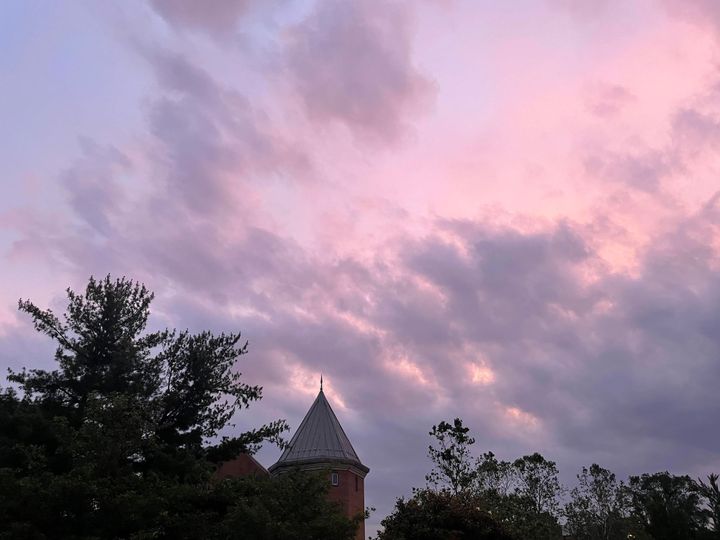 Curating your Consumption