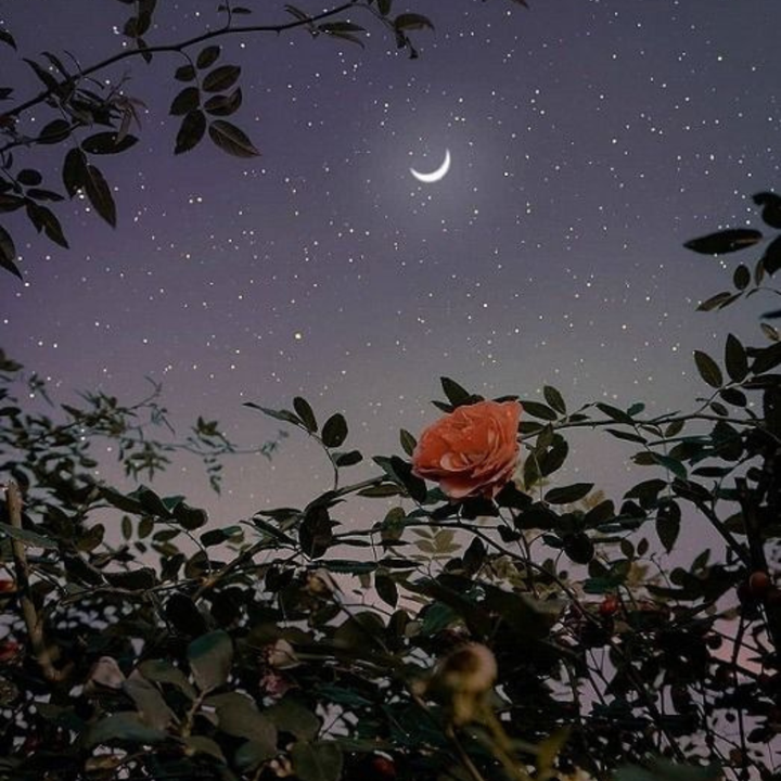 aspartame-free guide to being happier in 2023!