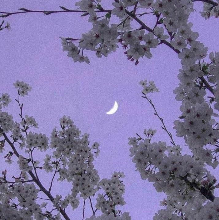 your maxims are your actions.