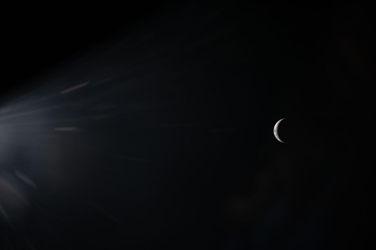Our Pale Blue Dot Has Grown in Its Arrogance, Ignorance and Greed
