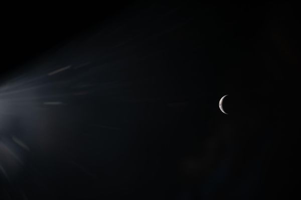 Our Pale Blue Dot Has Grown in Its Arrogance, Ignorance and Greed