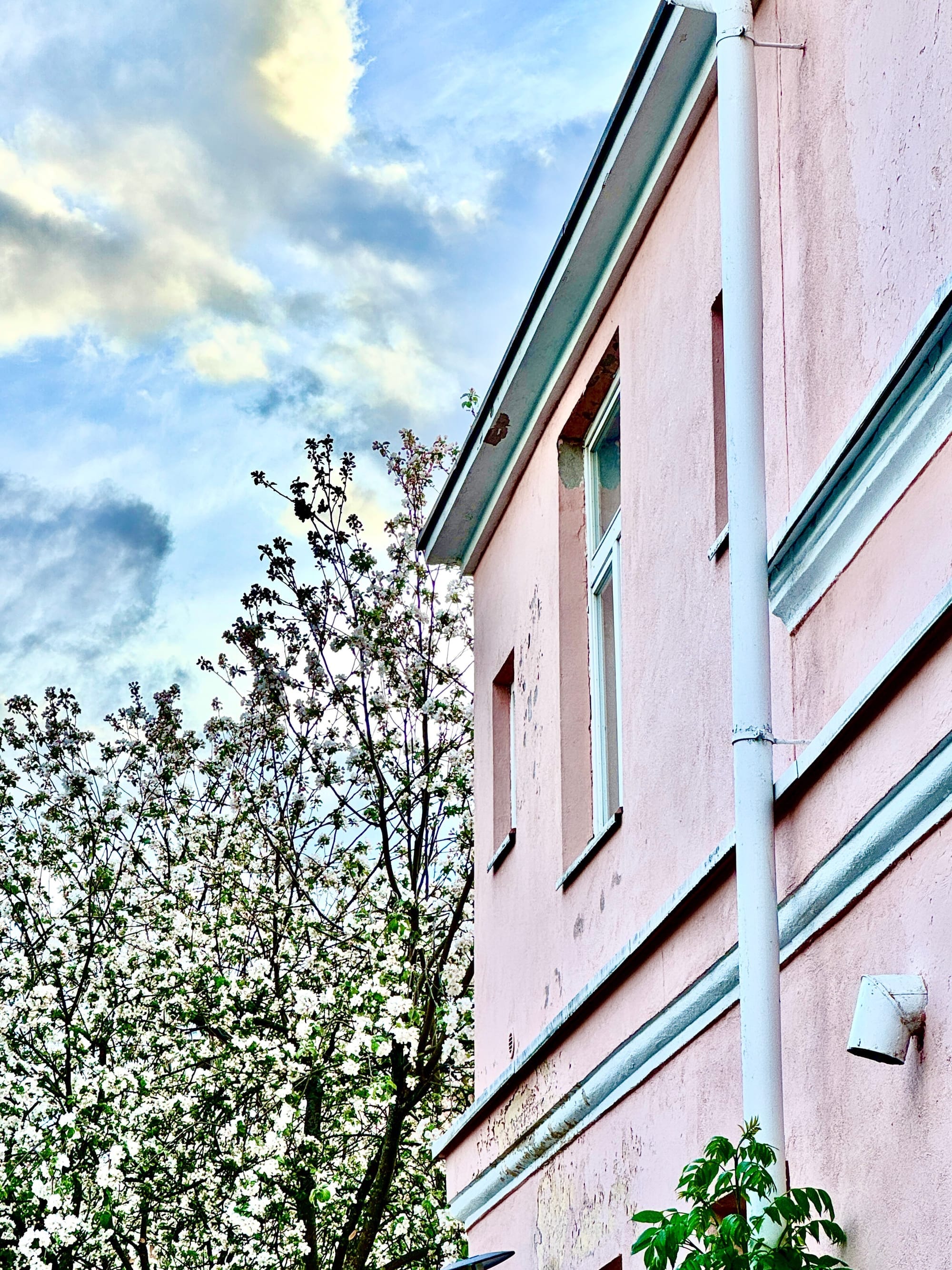 Sisäänkäynti tiloihin Satamakadun puolelta talon takaa. 