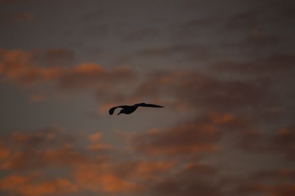 Gotcha! Data, Information and Channel crossing.