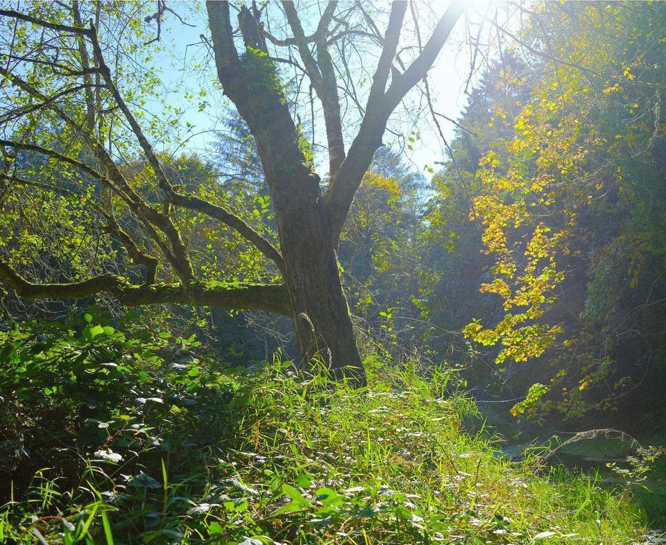 Trying to distract myself.