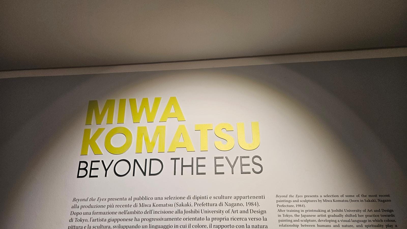 Exhibition wall reading Miwa Komatsu: Beyond the Eyes