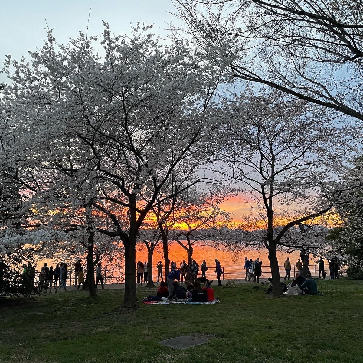 Knowing when not to drive