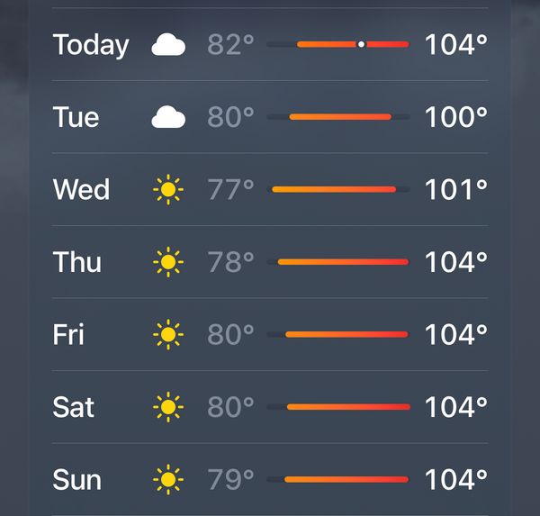 Surviving the summer