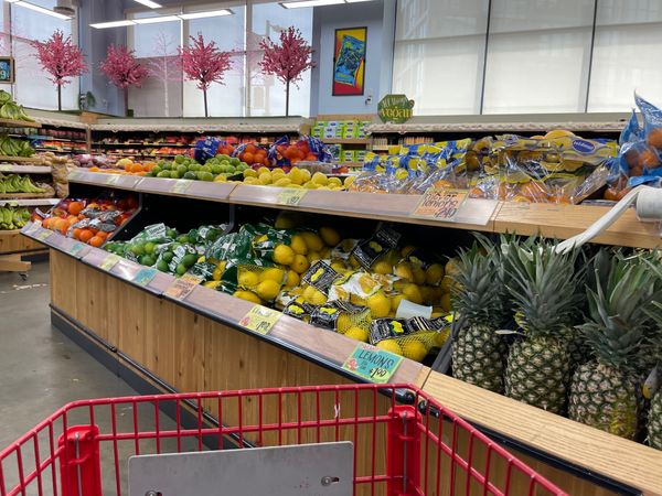 Shopping at Trader Joe’s