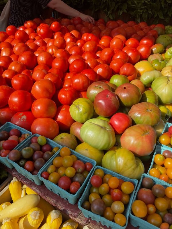 Taking advantage of tomato season