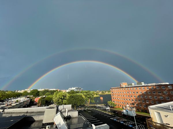 Pretty Good Links — July 2023