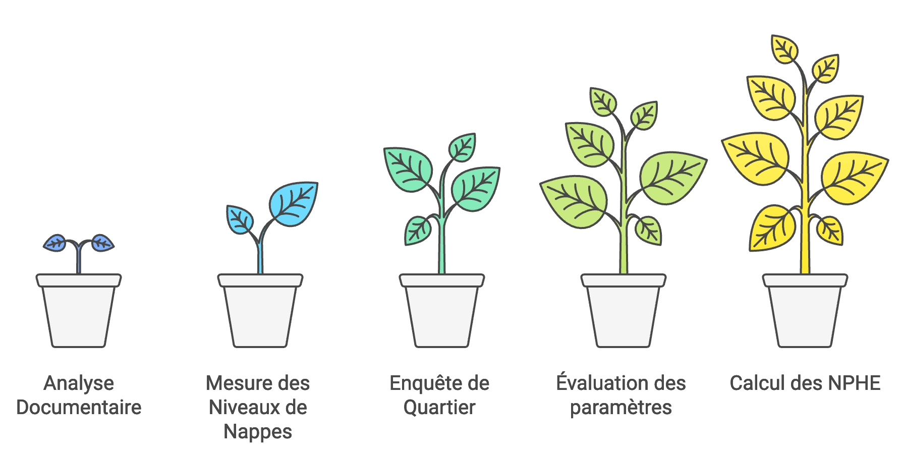 Etapes de réalisation d'une étude des Niveaux des Plus Hautes Eaux souterraines