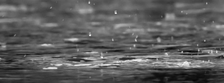 Le Cycle de l'Eau : Processus, Impact Humain et Effets du Changement Climatique