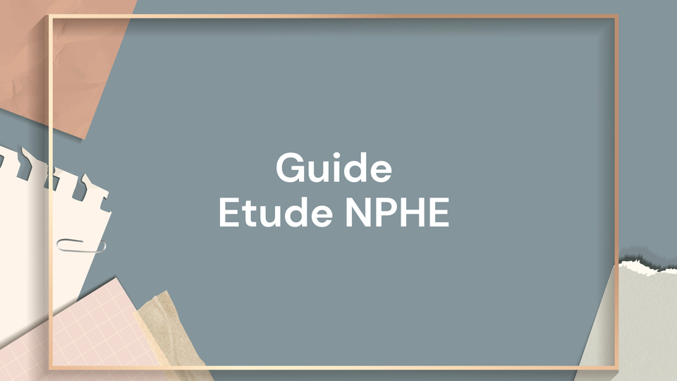 Guide de l’étude des Niveaux des Plus Hautes Eaux souterraines (NPHE)