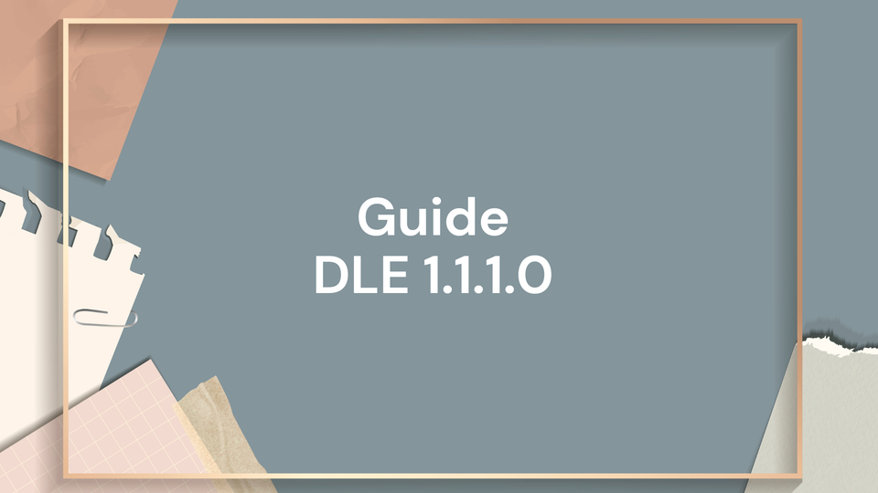 Guide pour la Déclaration de Forage et de Piézomètre : DLE 1.1.1.0