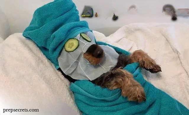 Top 10 Public Colleges with Spa-Like Amenities