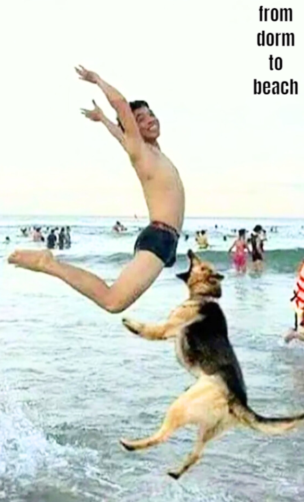 Top 10 Public Universities with Ocean Views from the Dorms