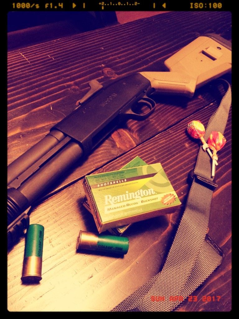 Shotguns and Disneyland… but Not Mixed Together!