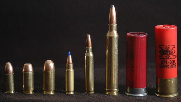 Ammo Data Visualizations (part 2)