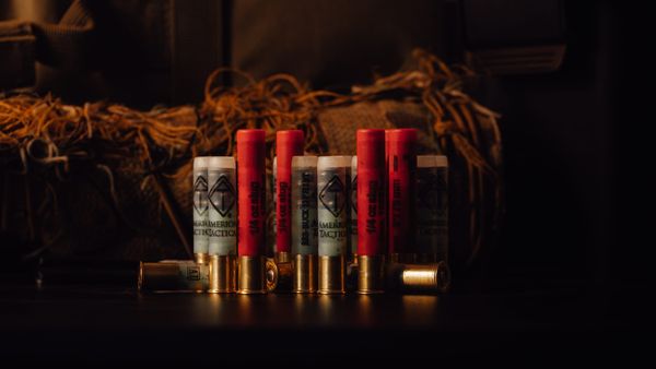 Caliber of the Month: The .410 Bore