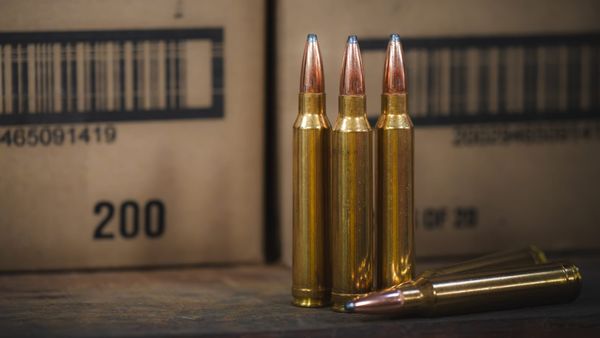 State of the Ammo Industry Spring 2026