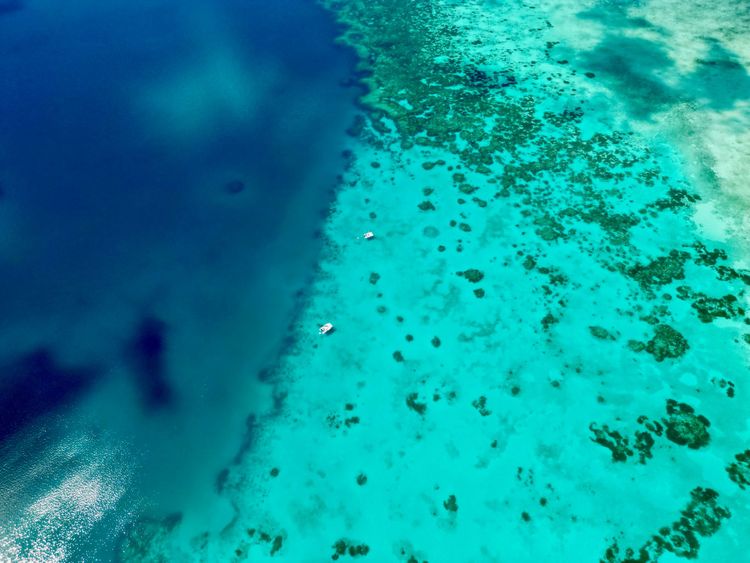 Fun at Bonerate reef