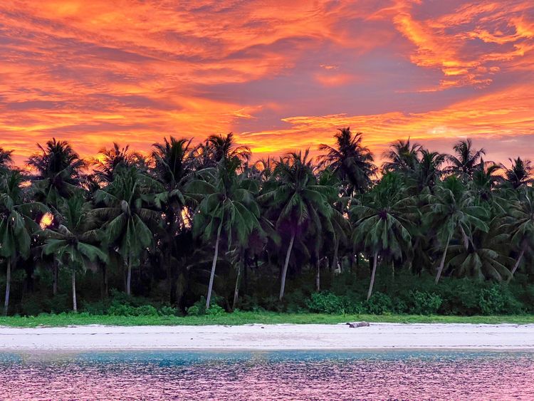 Smacking lips and throwing buckets