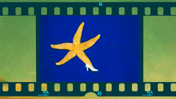 Facing the Shadow Self: Choosing the Truth